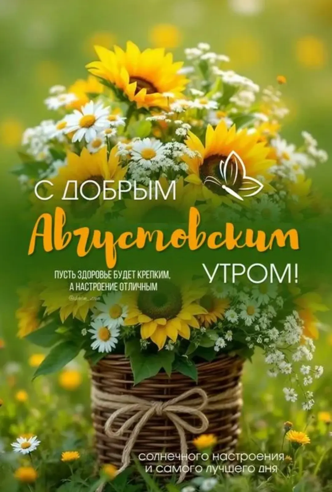 ☀️ Доброе утро, дорогие друзья!