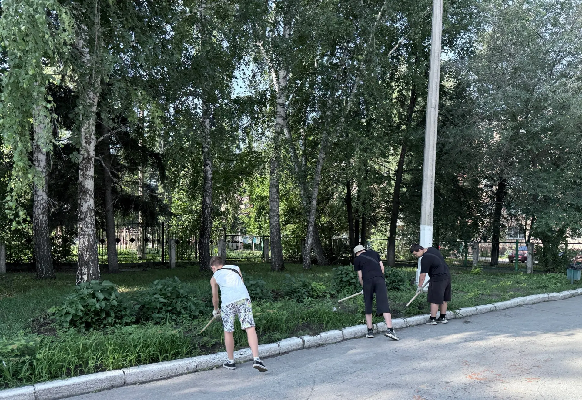 Свежий репортаж из школьного летнего трудового лагеря «Муравейник»! 🐜☀️

Сегодня наши ребята доказа