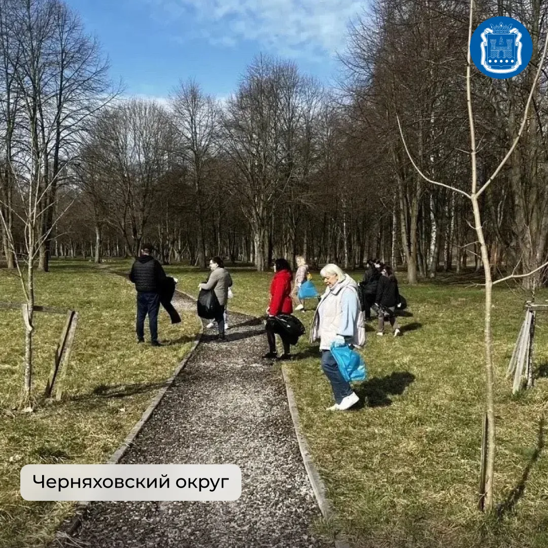 Во всех муниципалитетах области вновь прошли субботники.  Больше семи тысяч жителей убирались в парк
