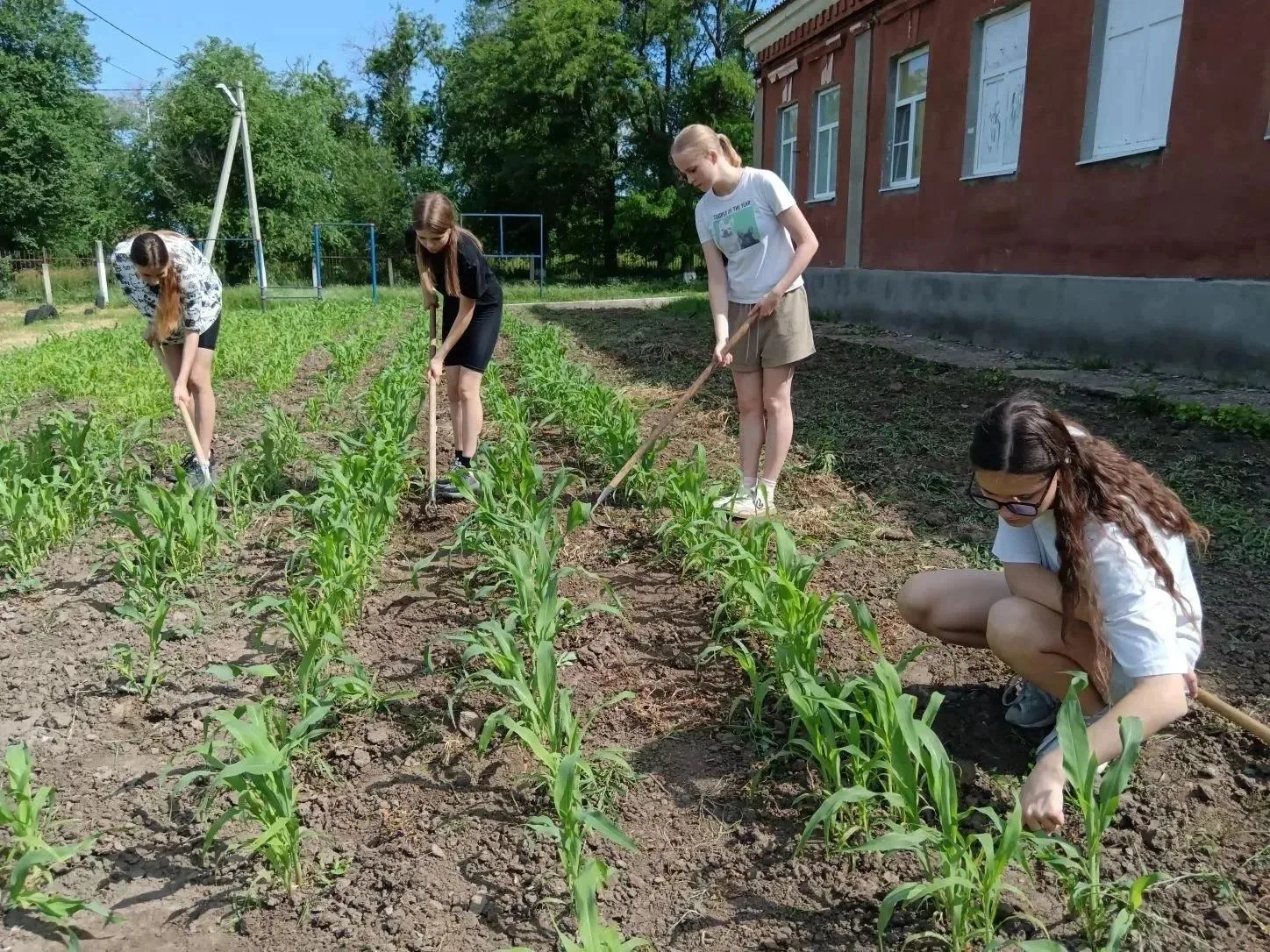 🌾 От маленького семечка — к настоящему школьному бренду!
