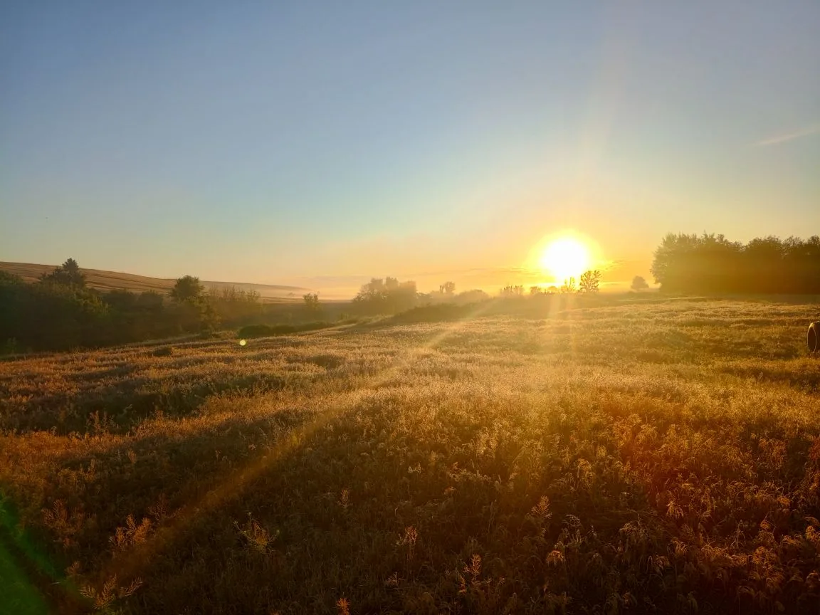 🌞Доброе утро, уважаемые жители Калач-Куртлакского сельского поселения!