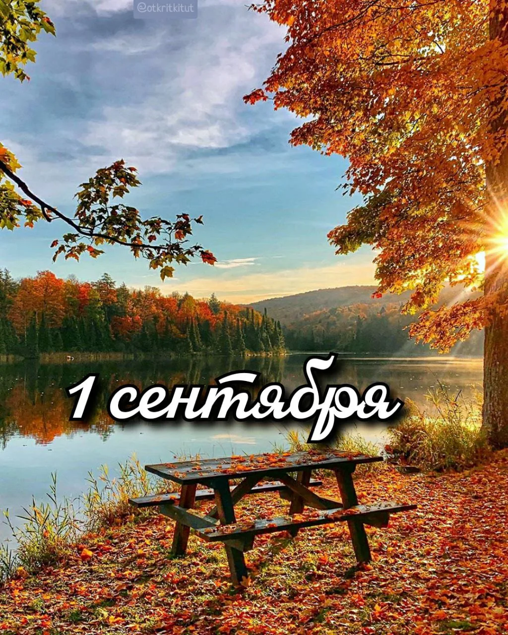 Праздники 1 сентября 🍁🏫🔔