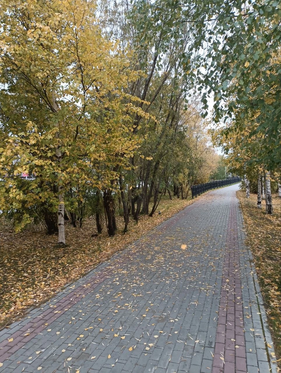 🌦☁⛅🌥 Днём в Сургуте +12°С. Пасмурно. Ветер восточный 2 м/с.