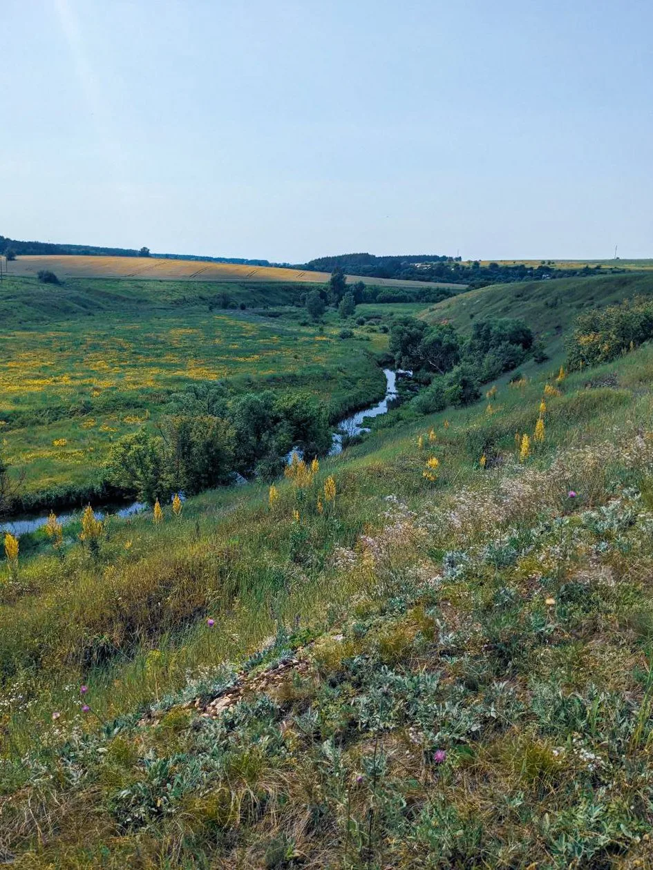 Красота родной земли.💙🌾🌿