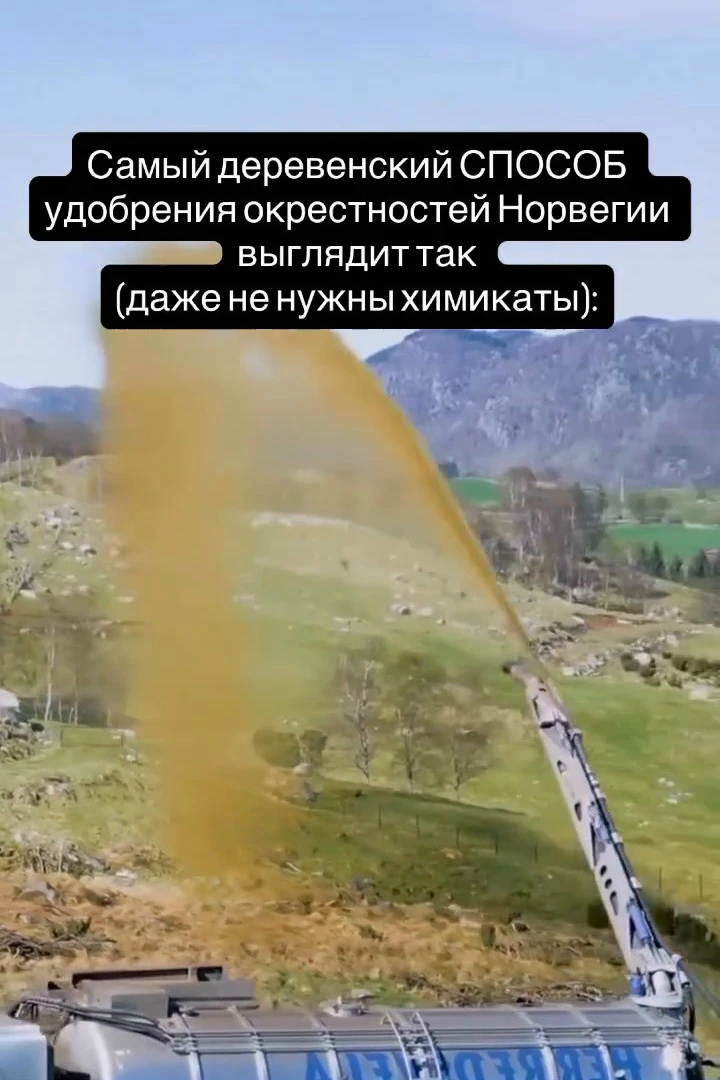 ⚙ В окрестностях Ставангера на западе Норвегии весной и осенью по полям и пастбищам еду...