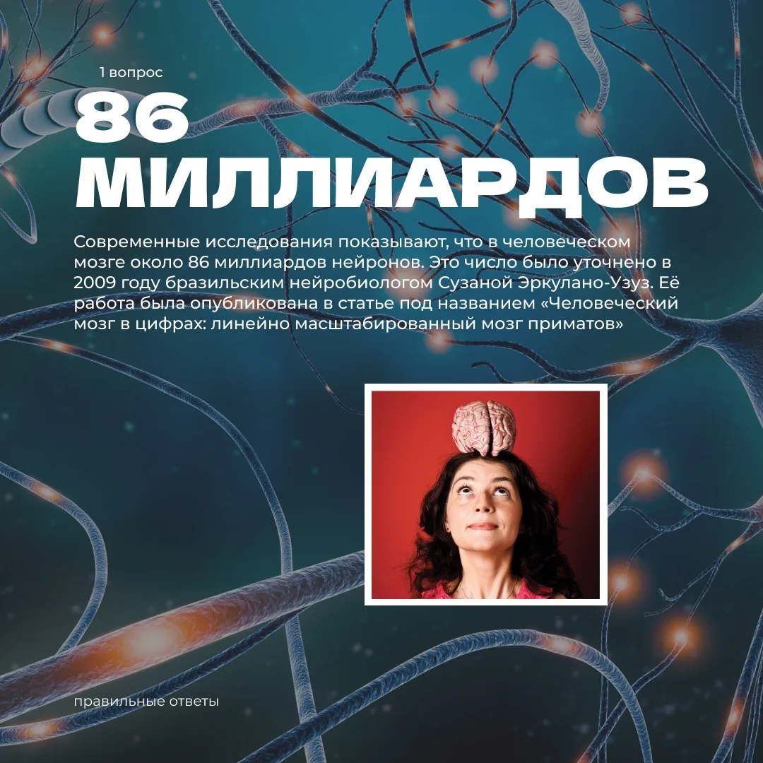 Ну и кто мы такие, чтобы скрывать правильные ответы! 🤓

Смотрим картинки и проверяем себя. Надеемся