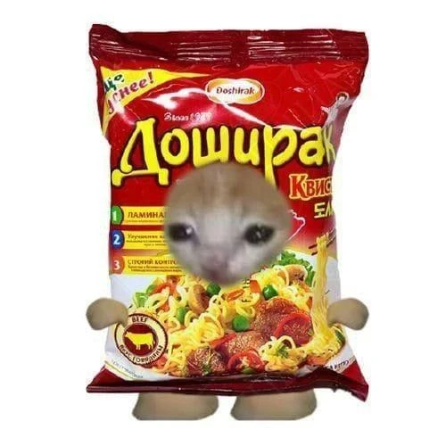 Котики-Еда 🐈