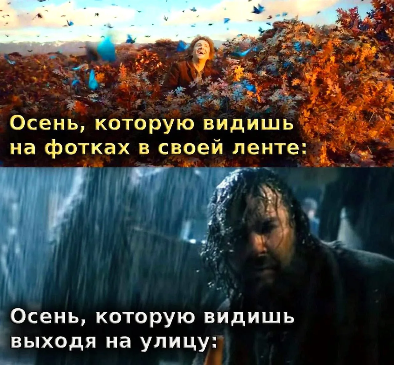 🍿 Фильмы на вечер