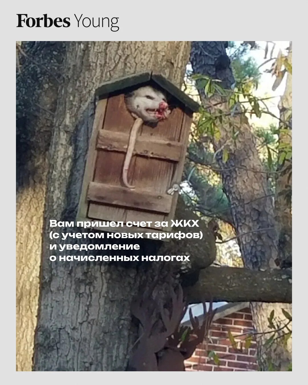 Продолжаем опоссумизацию