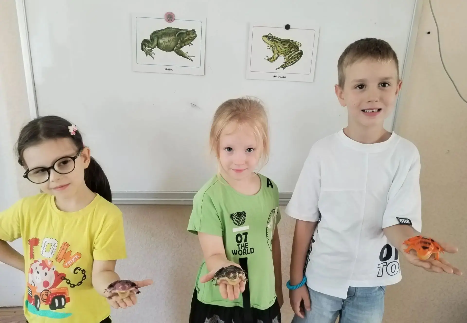 Ребята старшей группы  познакомились с  разными  видами лягушек и жаб 🐸 обитающих в нашем крае и в 