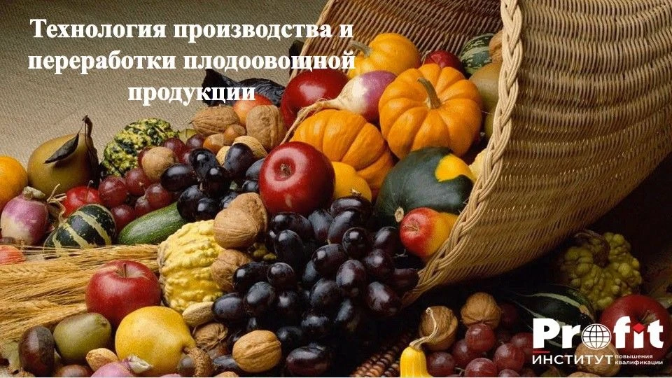 Институт повышения квалификации «ПРОФИТ» предлагает курс