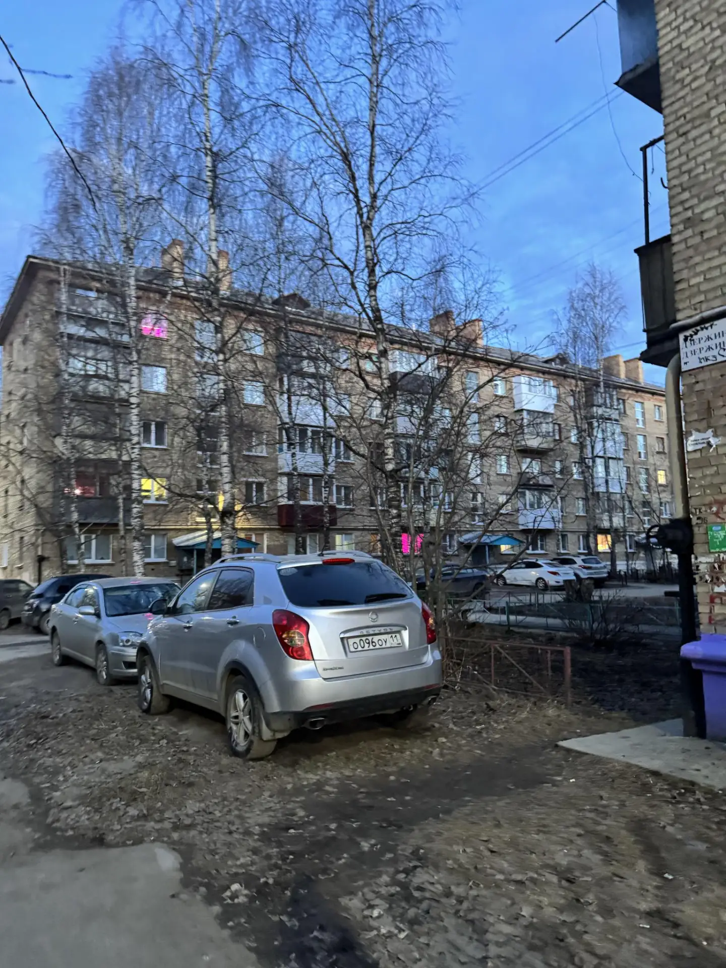 📌 «Зеленый щит»: итоги рейда по защите газонов