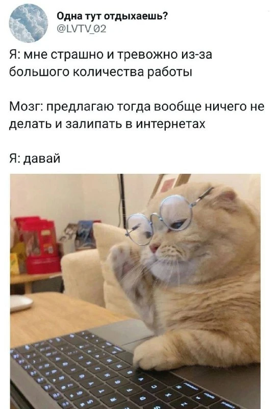 Самая коварная ловушка тревожного перфекциониста — прокрастинация. Именно желание «идеа...