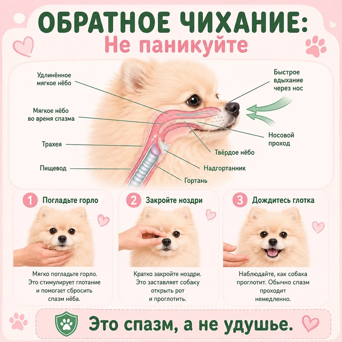 На заметку ❤️