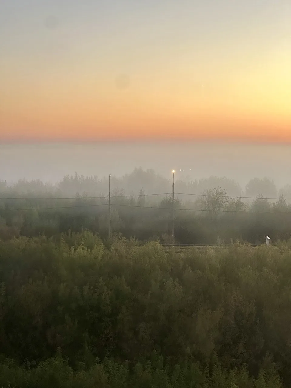 Пятничное утро 🕊️