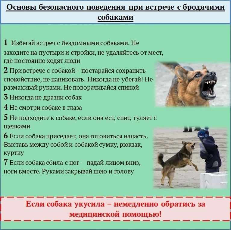 В рамках Единого дня безопасности прошла беседа с детьми на тему " Осторожно, злая собака!". Детям р