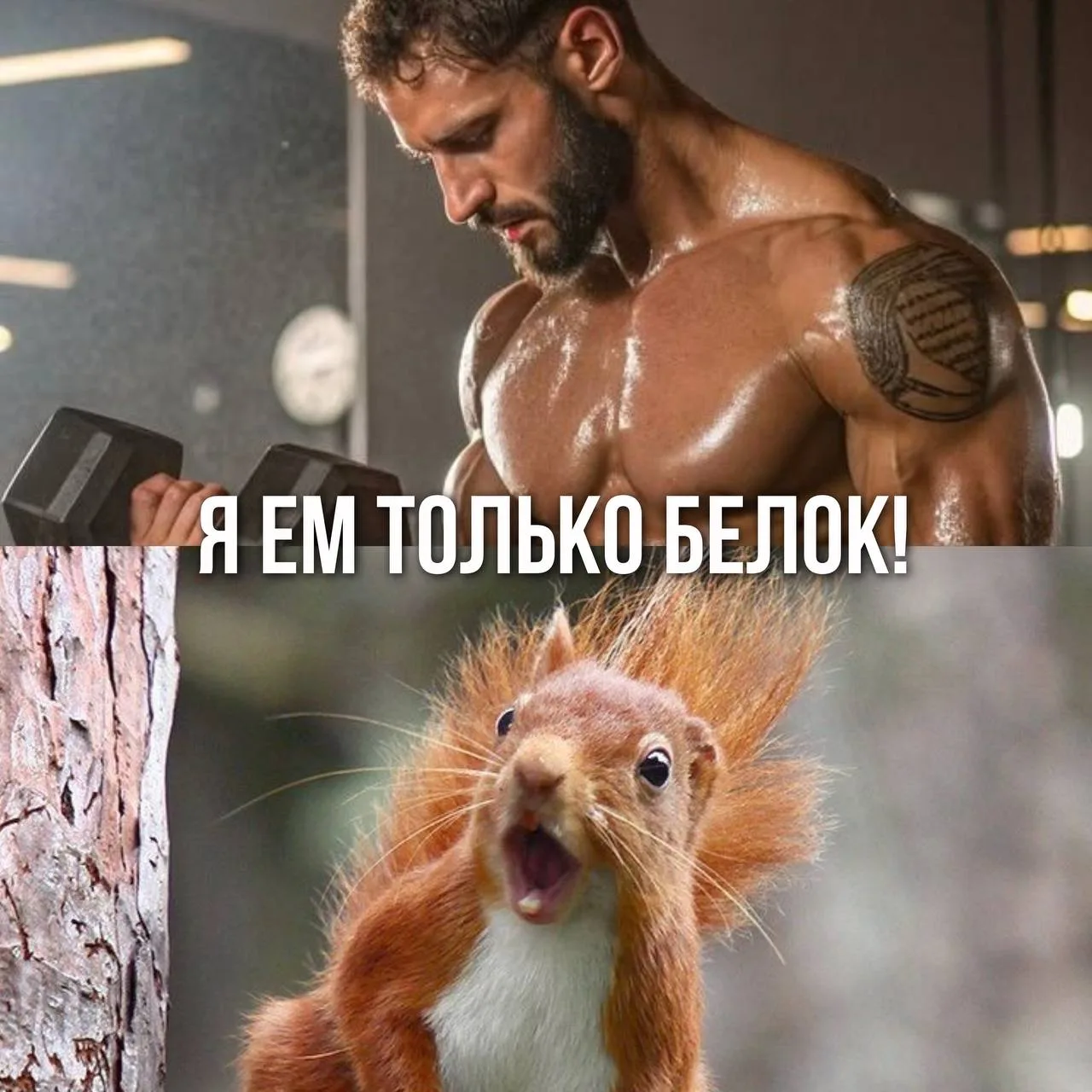 ПОЧЕМУ ВСЕ В ЗАЛЕ ВНЕЗАПНО НАЧИНАЮТ «ДОБИРАТЬ БЕЛОК»?