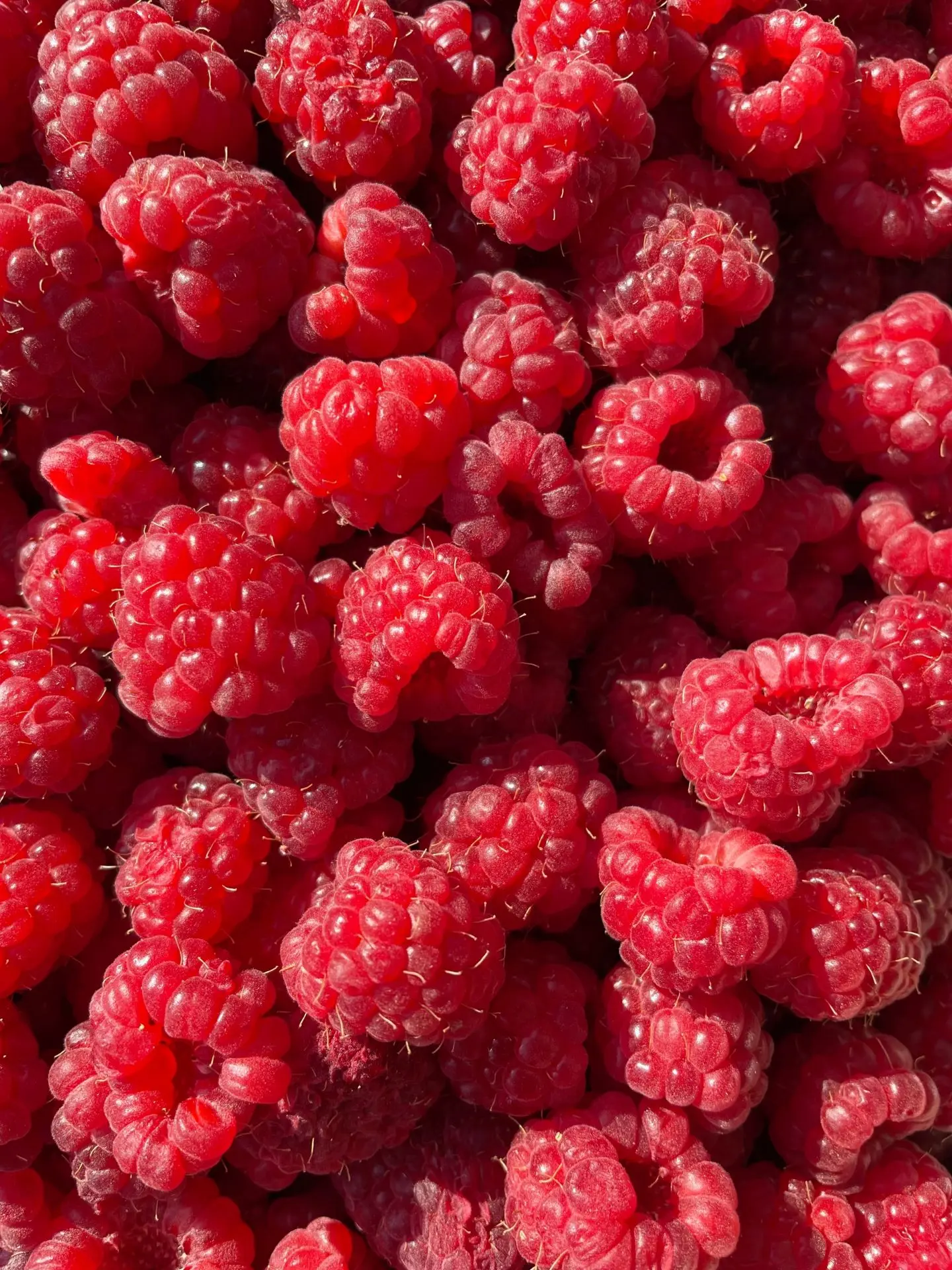 Фото ягоды🍓