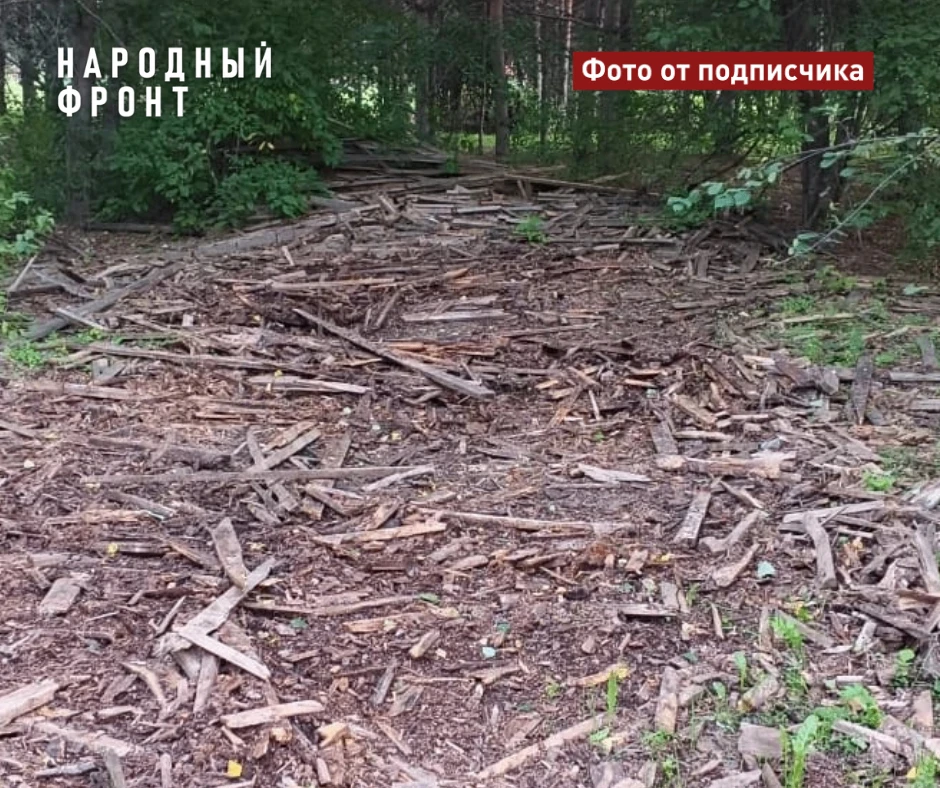 В результате сигнала Народного фронта в Асино лесопилку заставили убрать свалку древесн...