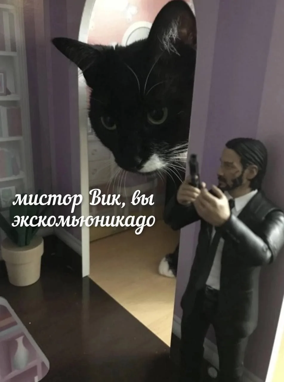 Ставь лайк! ❤️