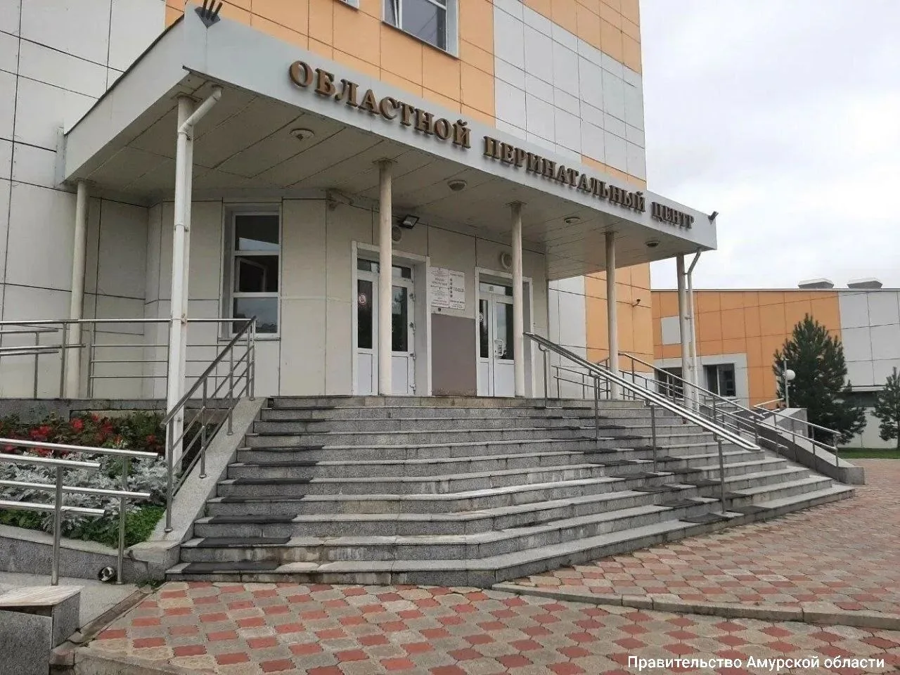 Почти 500 будущих мам с севера Амурской области бесплатно доехали до перинатального цен...
