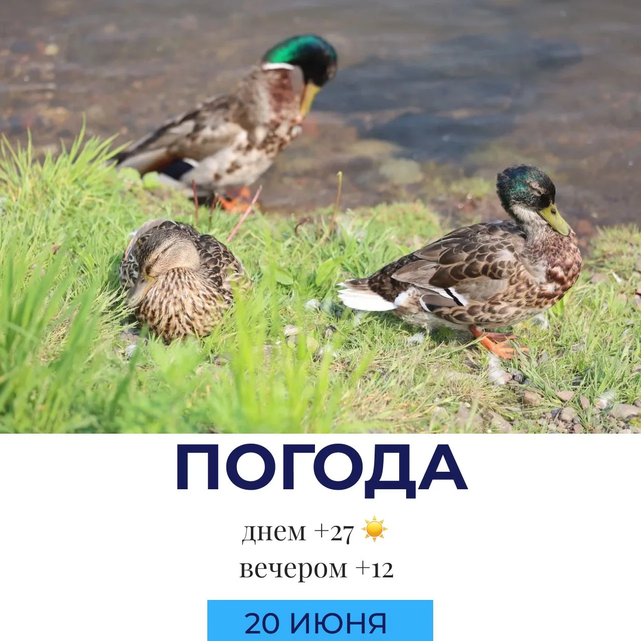 ☀️ Погода на сегодня