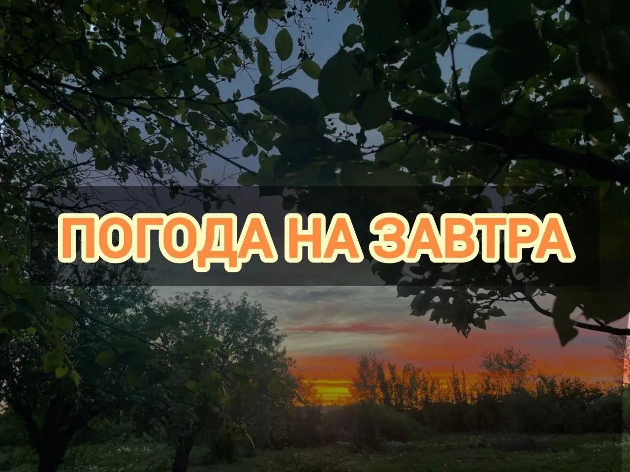 ‎Добрый вечер, жители Подлесновского МО! 🌅
‎
‎Уютного вам завершения этого дня и прекрасного отдыха