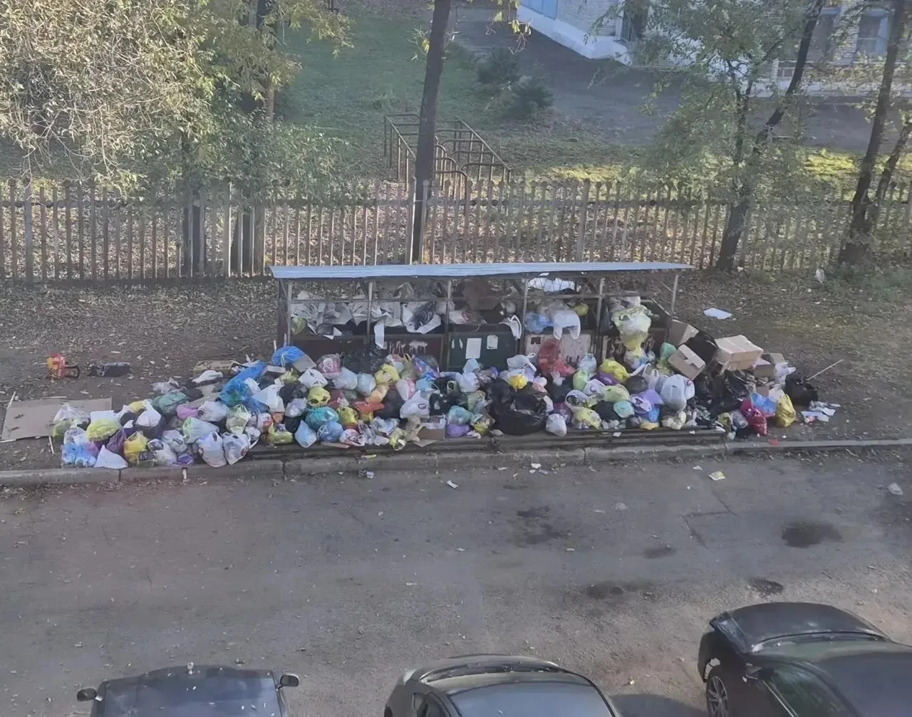 Биробиджан зарастает мусором 🙄