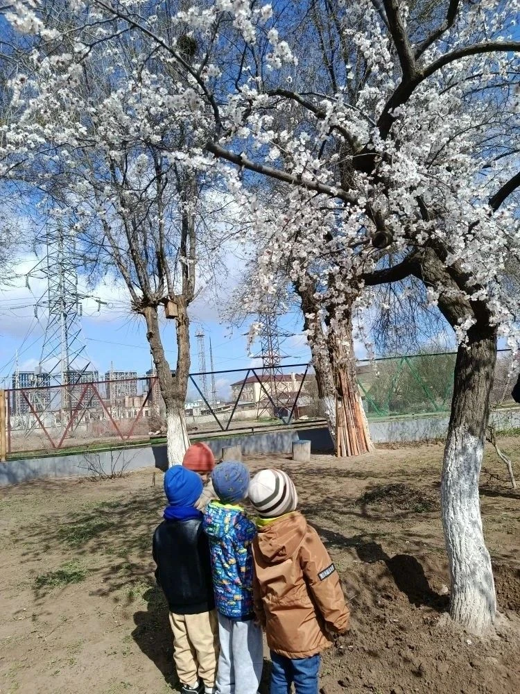 🌸Весной наш детский сад расцвел яркими красками! 

🌸Дорогие друзья и родители! 
Хотим поделиться с