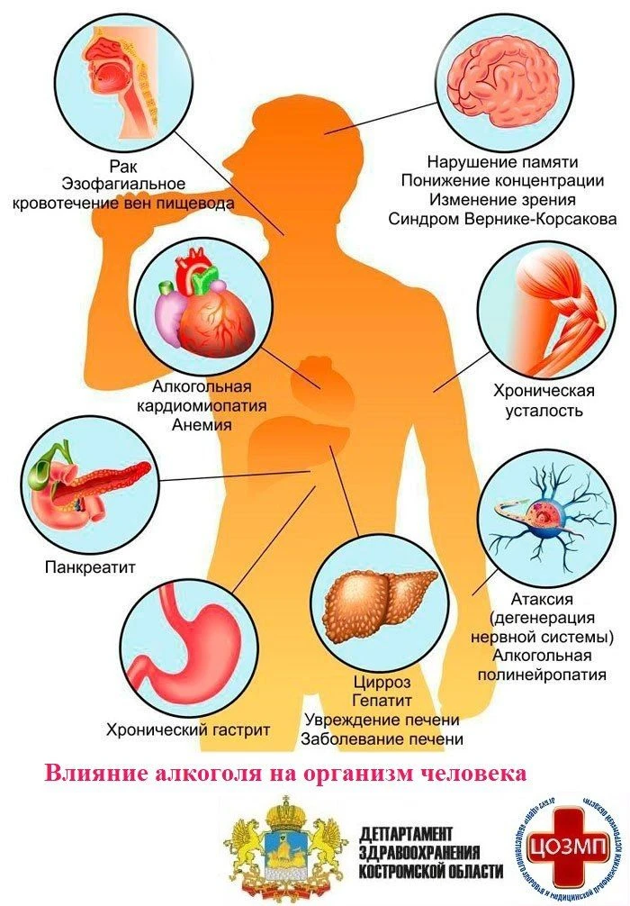 📌 ВЛИЯНИЕ АЛКОГОЛЯ НА ОРГАНИЗМ ЧЕЛОВЕКА