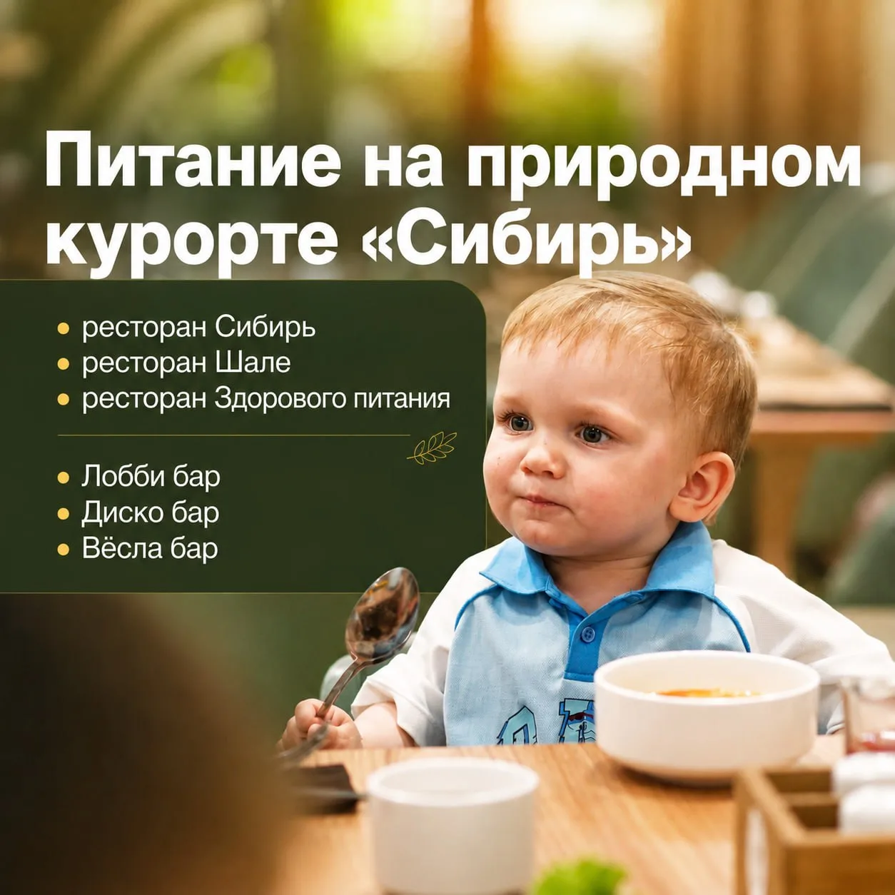 Как выбрать питание на природном курорте «Сибирь»? 🍽🌿