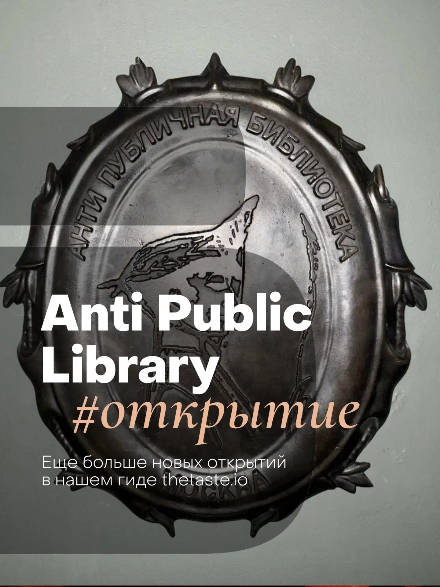 #открытия В Москве открылся Anti Public Library — официальный филиал парижского простра...