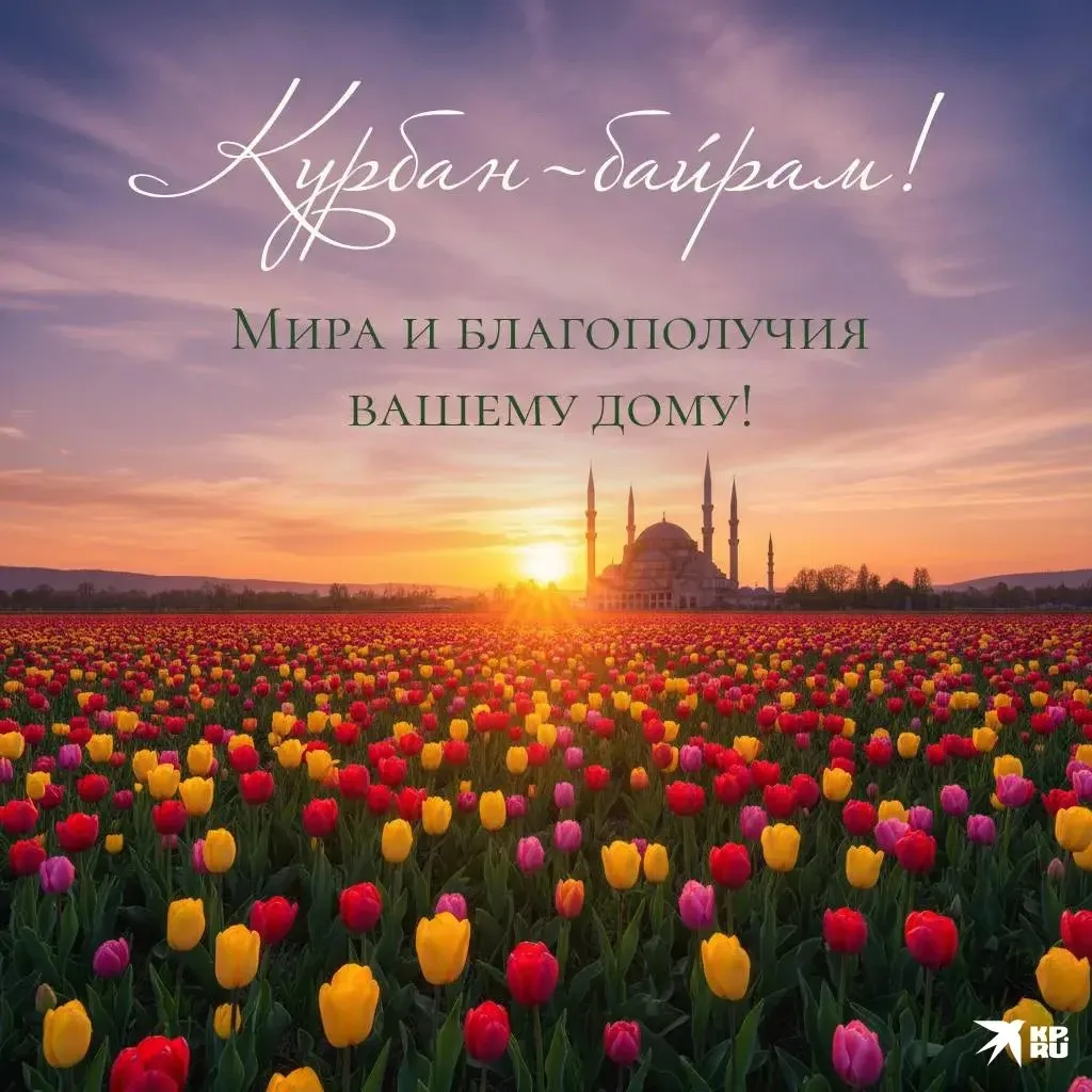 Поздравляем всех мусульман с Праздником Курбан байрам!