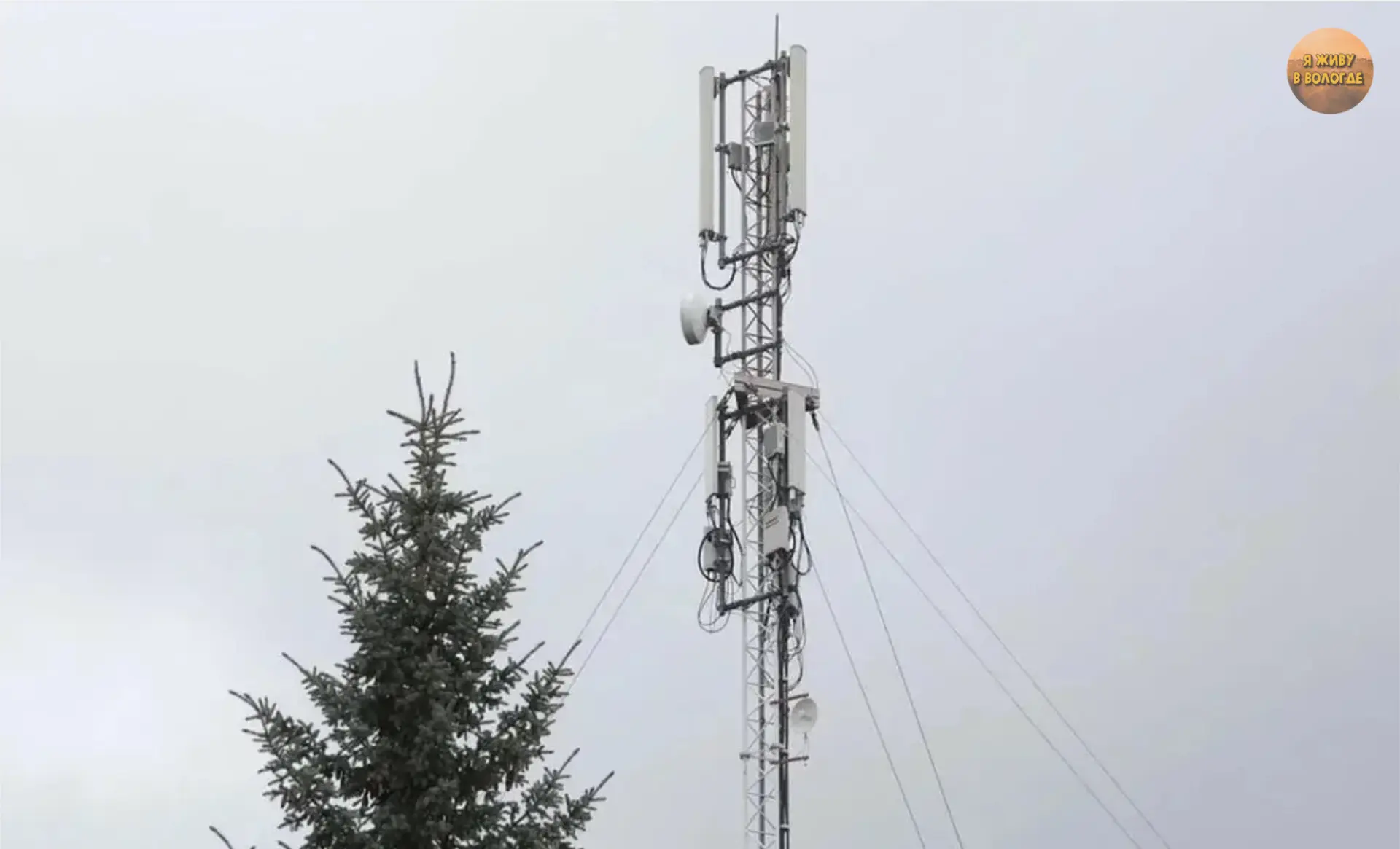 📶 На четырёх участках трассы М-8 в Вологодской области появилась мобильная связь.