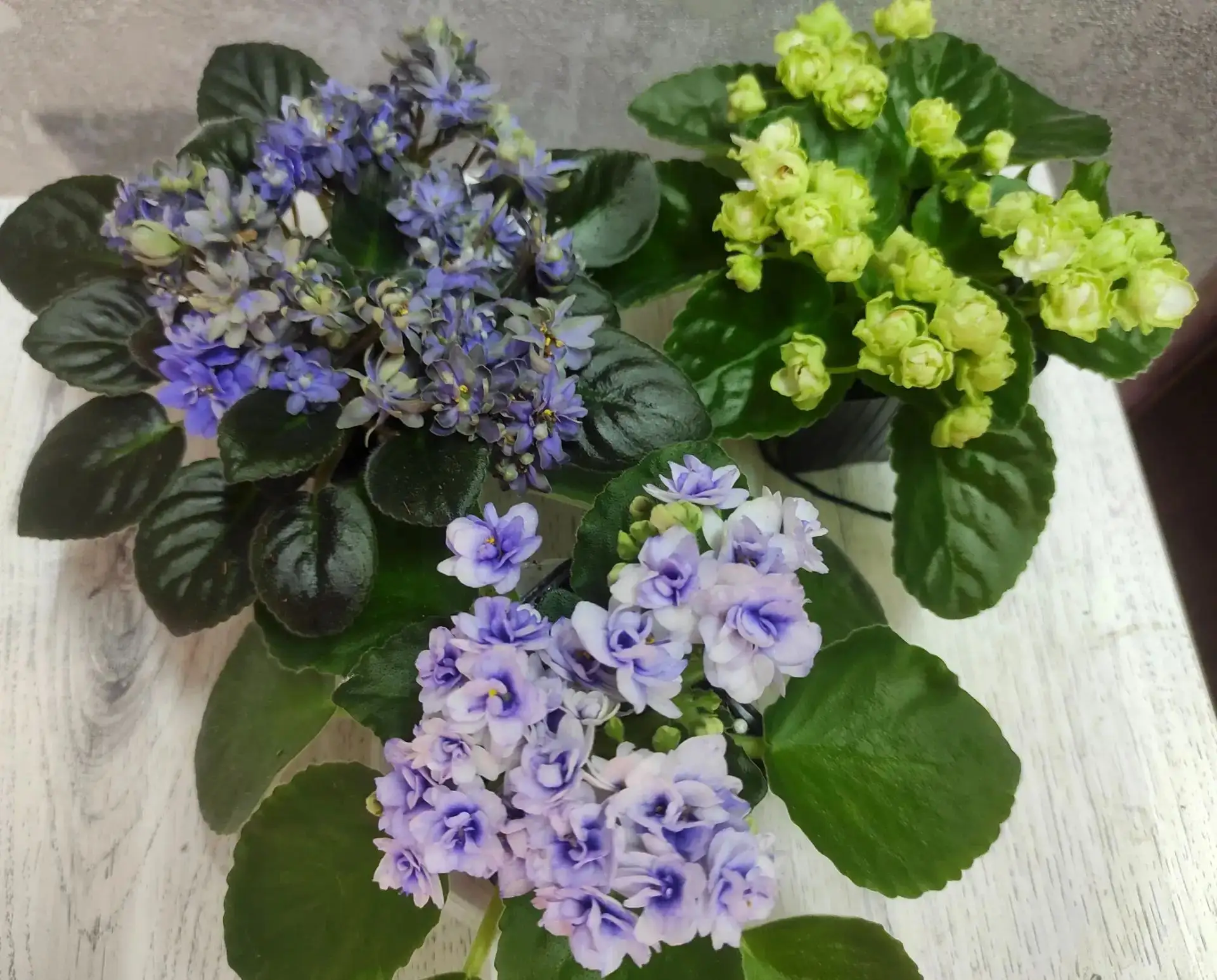 Пост от Алёны🥰