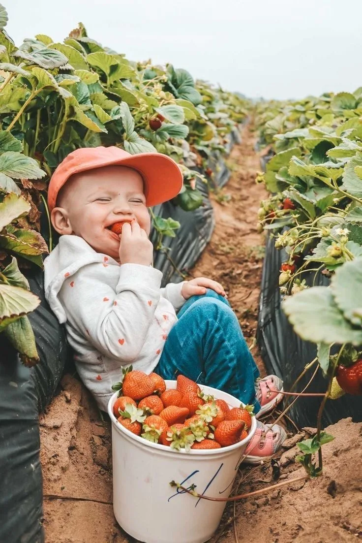 Ну что Друзья, с первым днём лета! 👏🏼😍 и с Днём защиты детей 👶🏼