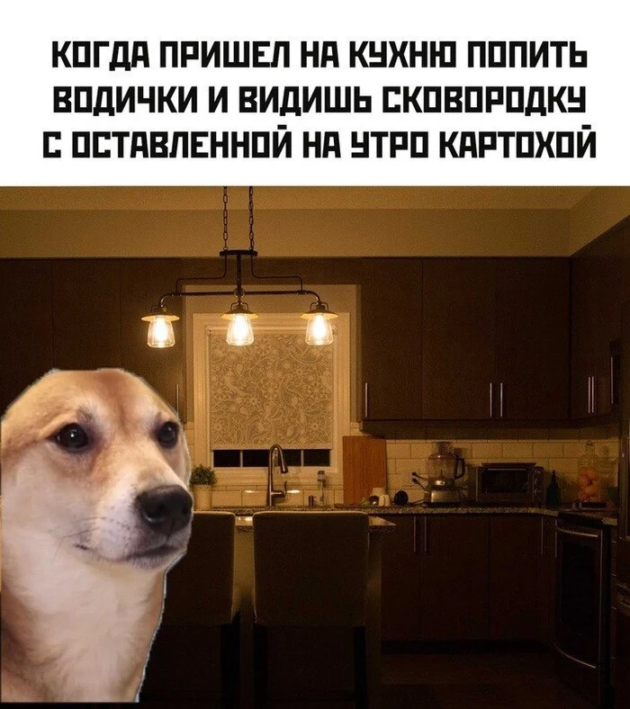 Про интревальное голодание

П: «Дмитрий Сергеевич, я с завтрашнего дня на интервальном голодании! 16
