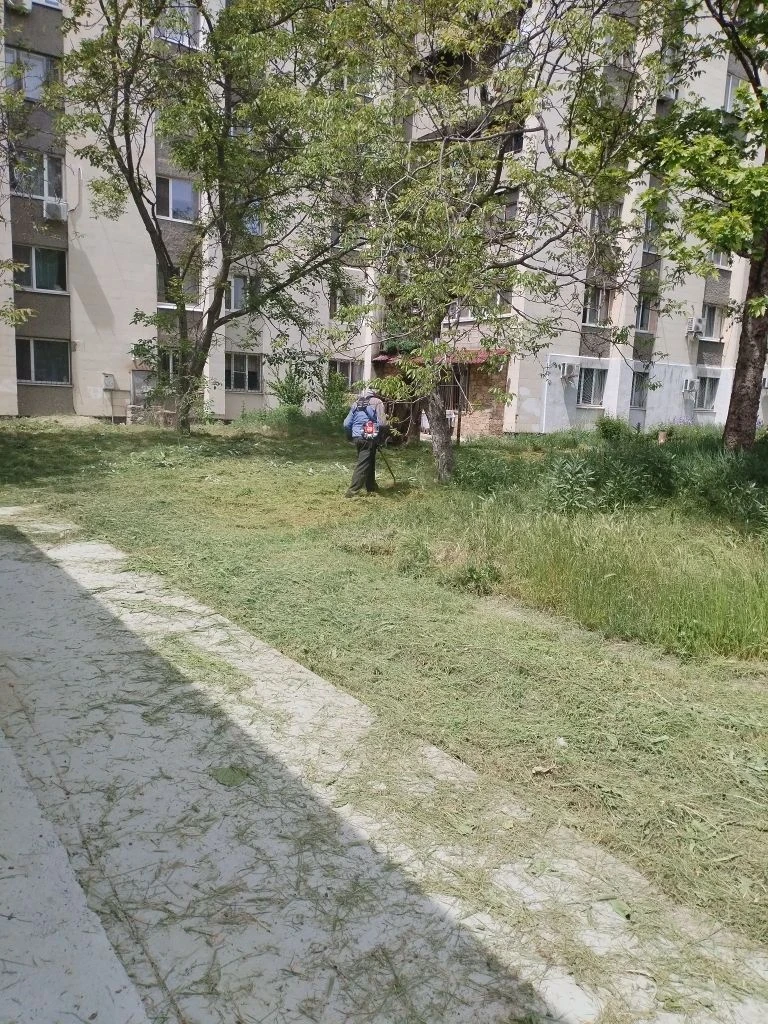 Покос травы на придомовой территории МКД по ул. Севастопольская, 94