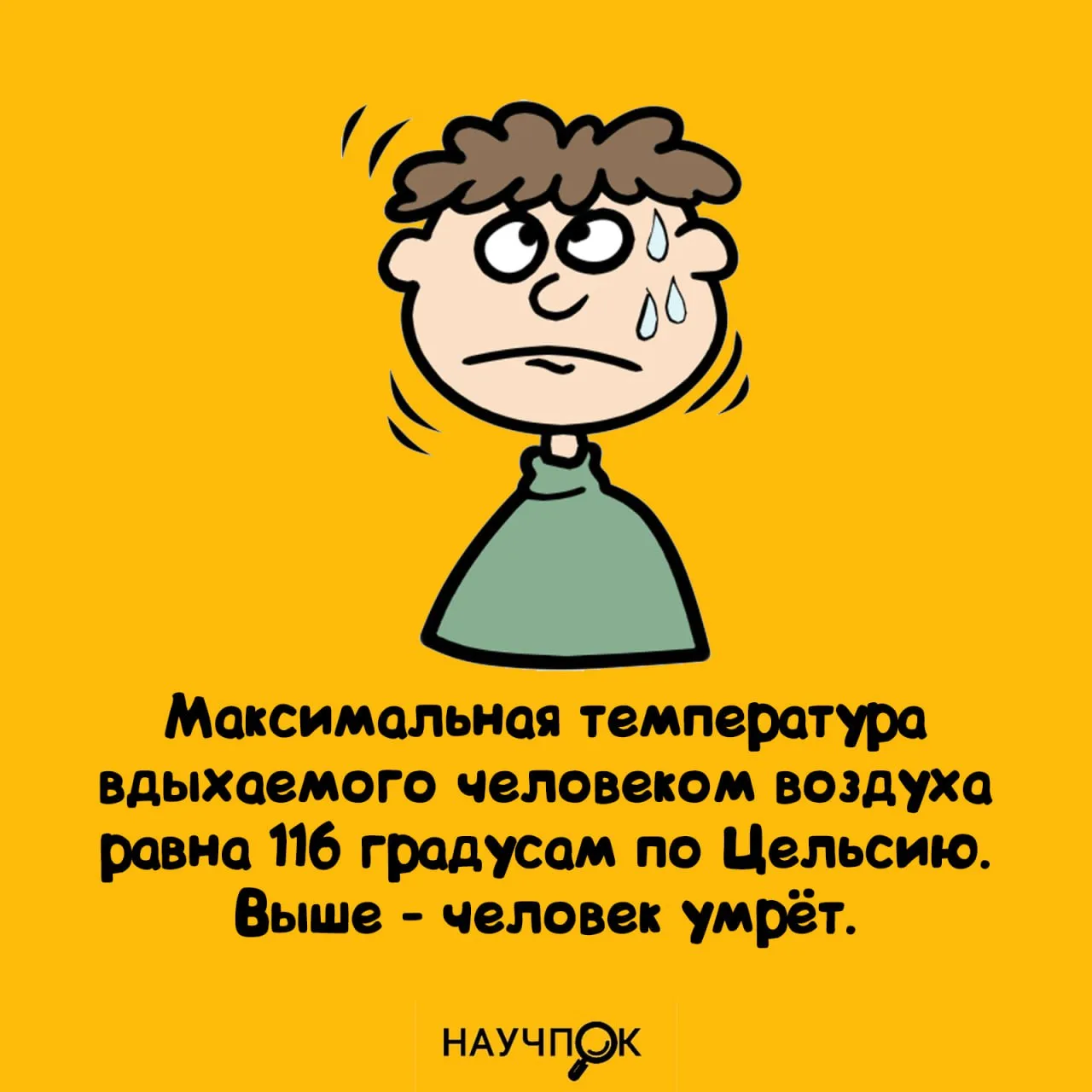 Научпок | Подписаться