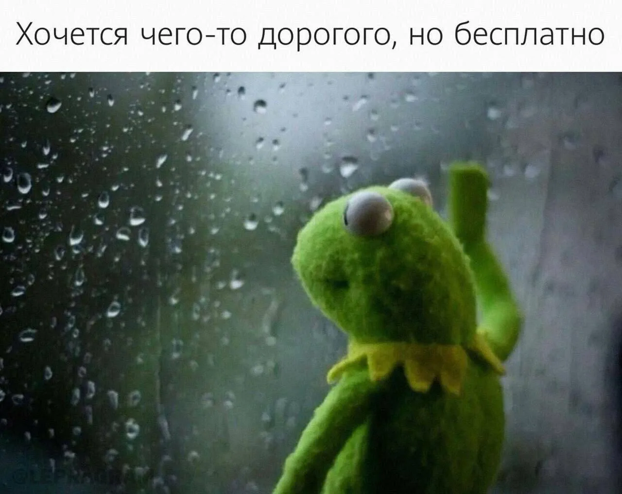 Изображение 1 к публикации «Света, что с бюджетом? 💸»