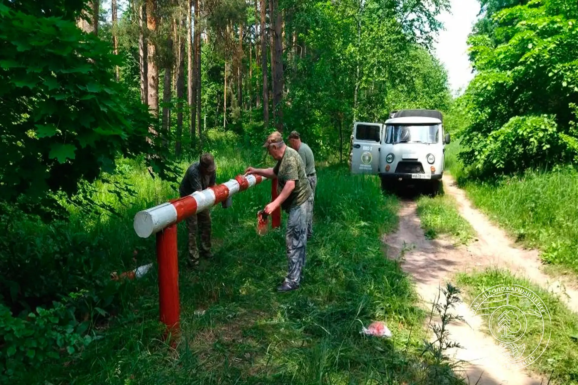 В Липецкой области продолжается активное противопожарное обустройство лесов, что является одной из п