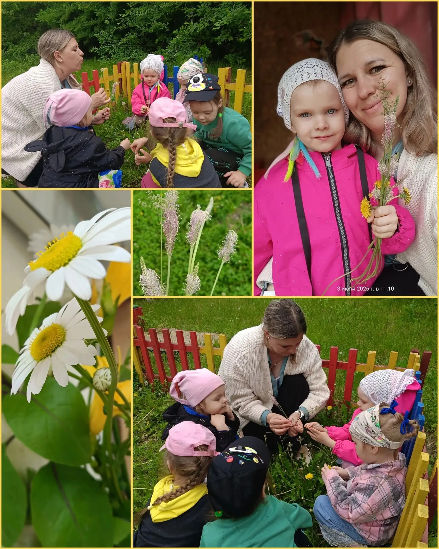#ПолевыеЦветы
#ЛюбовьКПрироде #МирПрироды
💐День полевых цветов: путешествие в мир природы для малыш