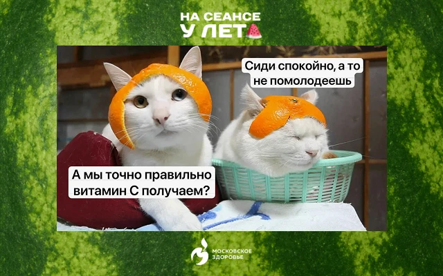 🍊 «Пей витамин С – и простуда пройдет за три дня». Это МИФ!

Что говорит наука: витамин поддерживае