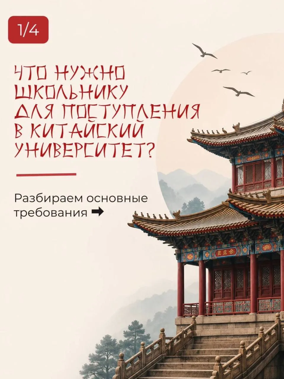 Поступление в китайский университет — это не история «сначала закончить школу, а потом ...
