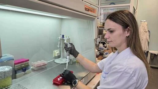 Новосибирские ученые раскрыли секрет эффективной терапии ожирения печени