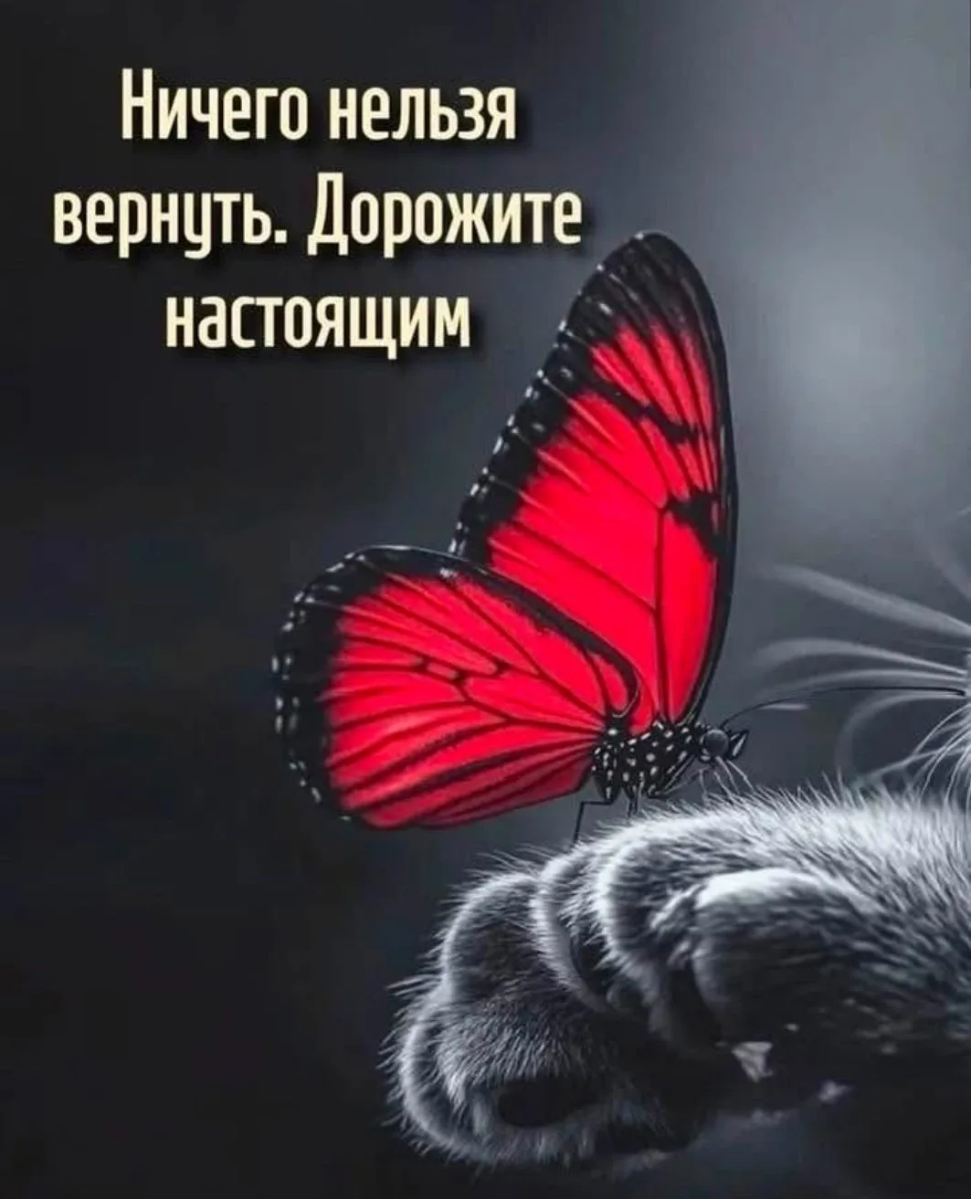Вчера уже ушло, а завтра еще не наступило