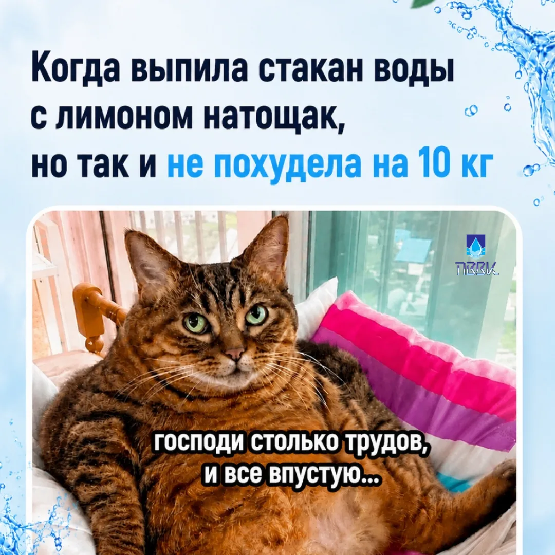 Опять не похудели к лету?  😄