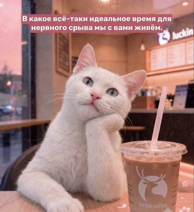 Всем отличной недели😉👍 Ну и держитесь там!)) И тут тоже) 😁