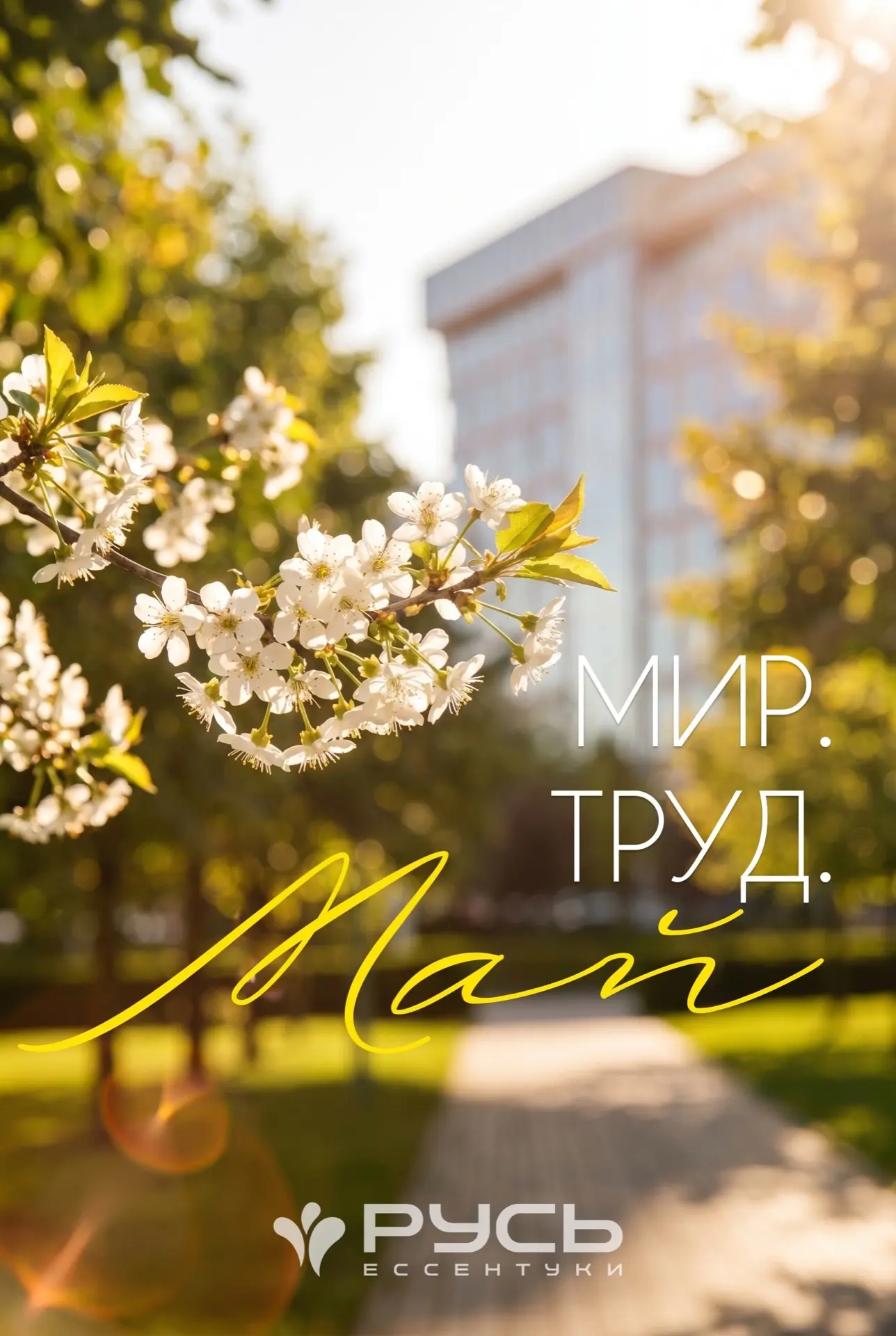 🌿Дорогие друзья, гости и коллеги!