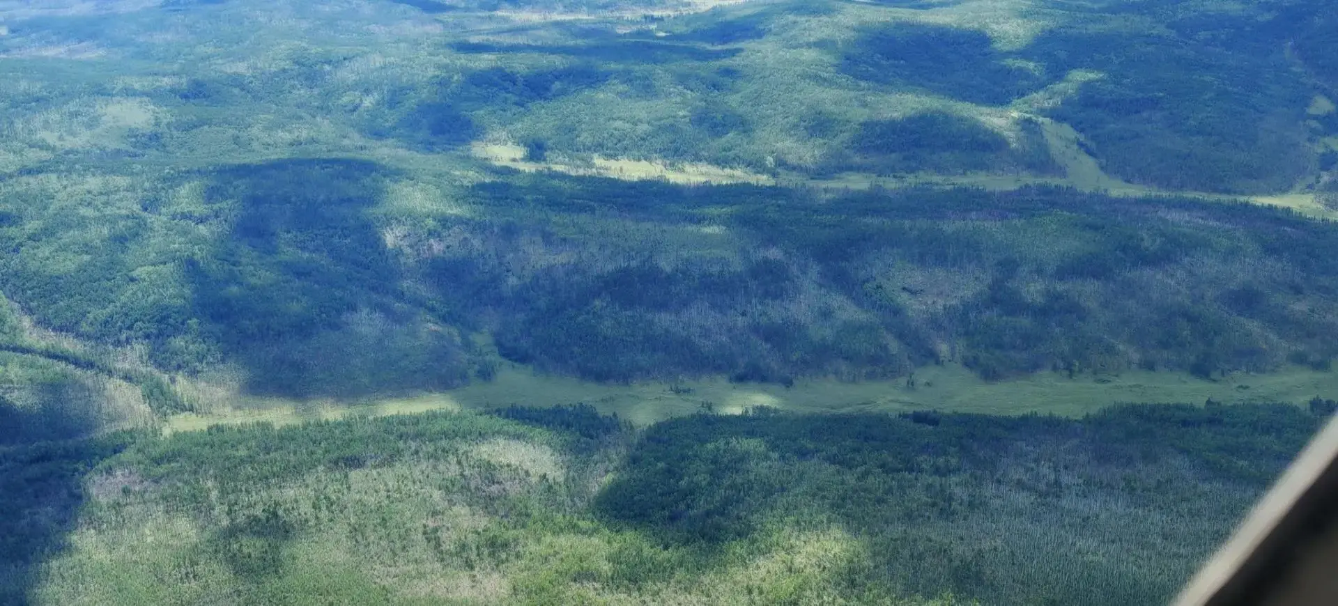 🧑‍🚒🌲 В Арктической зоне Якутии продолжают тушить крупный лесной пожар

В Колымском лесничестве Ср